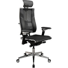 ������ ��� ������������ ������ Yoga Spine Triumph B2 (������ CC.50.15.13A)