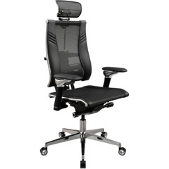 ������ ��� ������������ ������ Yoga Spine Triumph L2 (������ D5.50.15.13A)