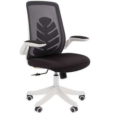 ������ Chairman CH 565, �������� ������������, ��������������, ������� �����, �����/�����, ������, 7146048